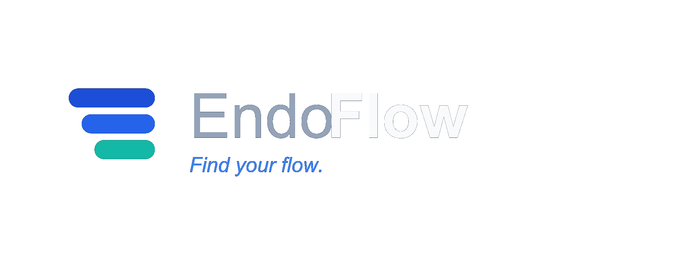 EndoFlow